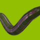 Illustration for article titled Researchers simulate a worm's internal muscle sensations with code